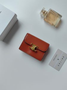 Celine Triomphe Card Holder 10N063