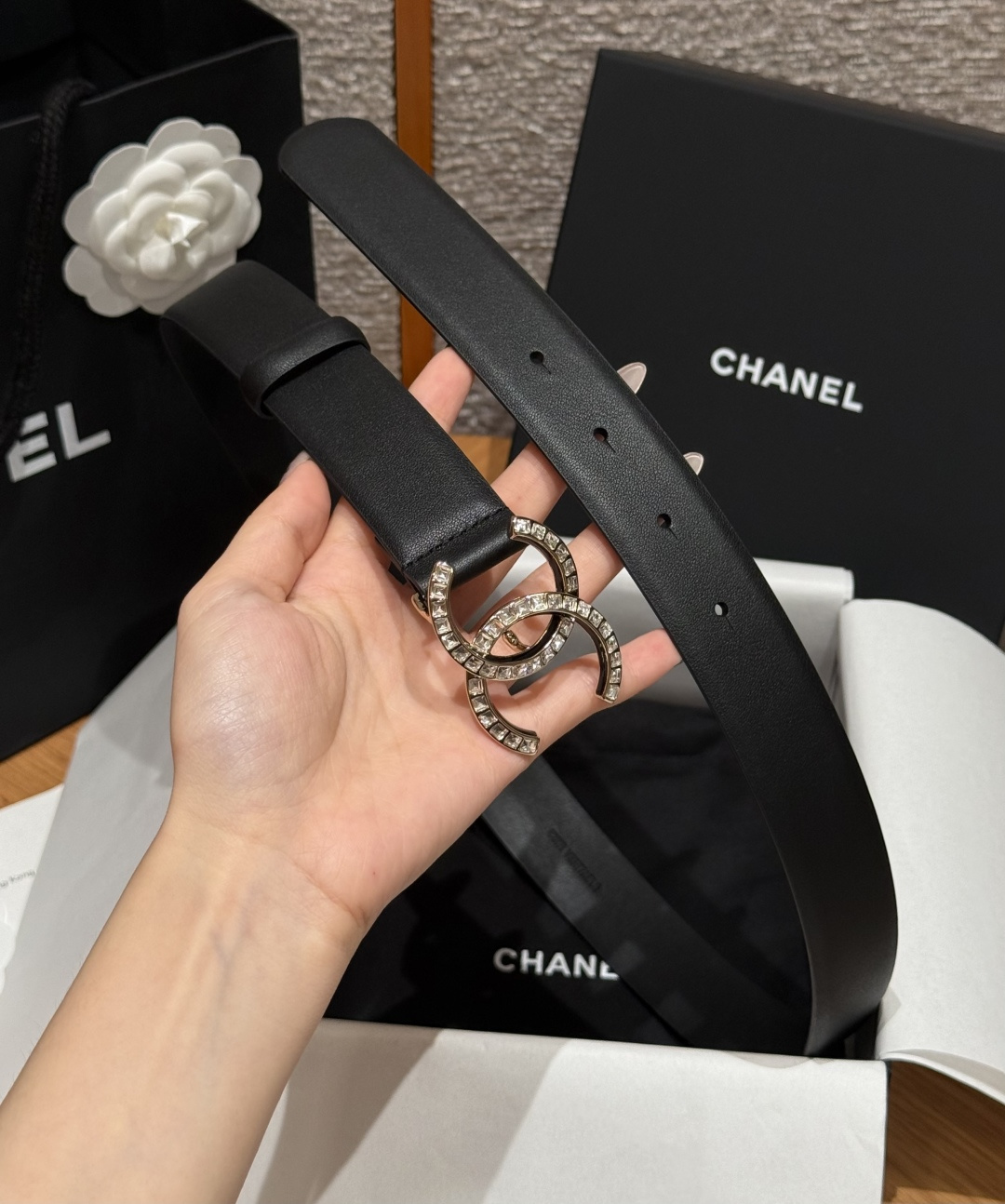 Belt in Black