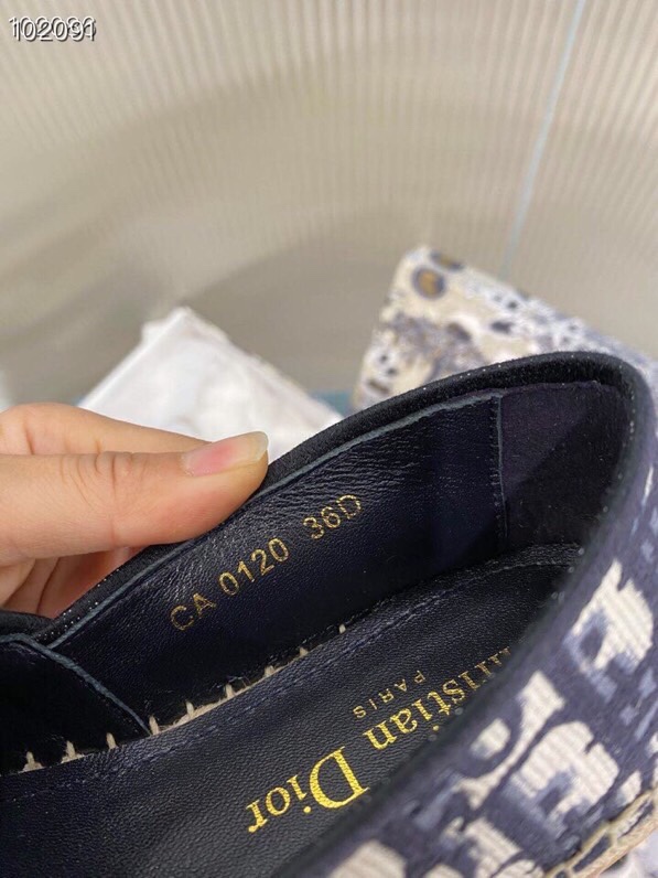 Dior Shoes