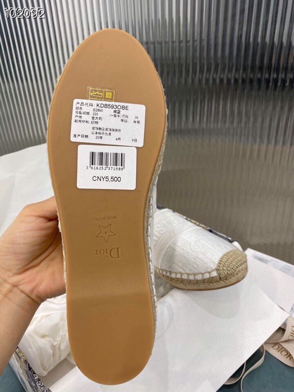 Dior Shoes