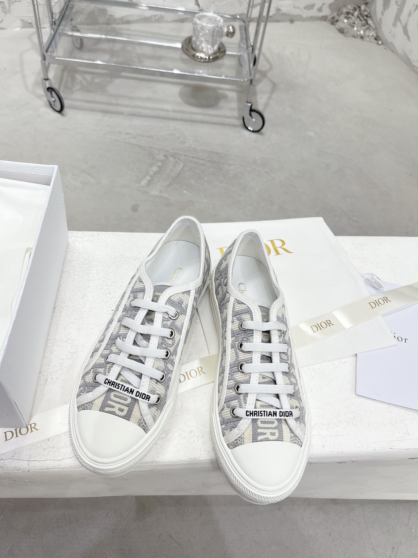 Dior Shoes