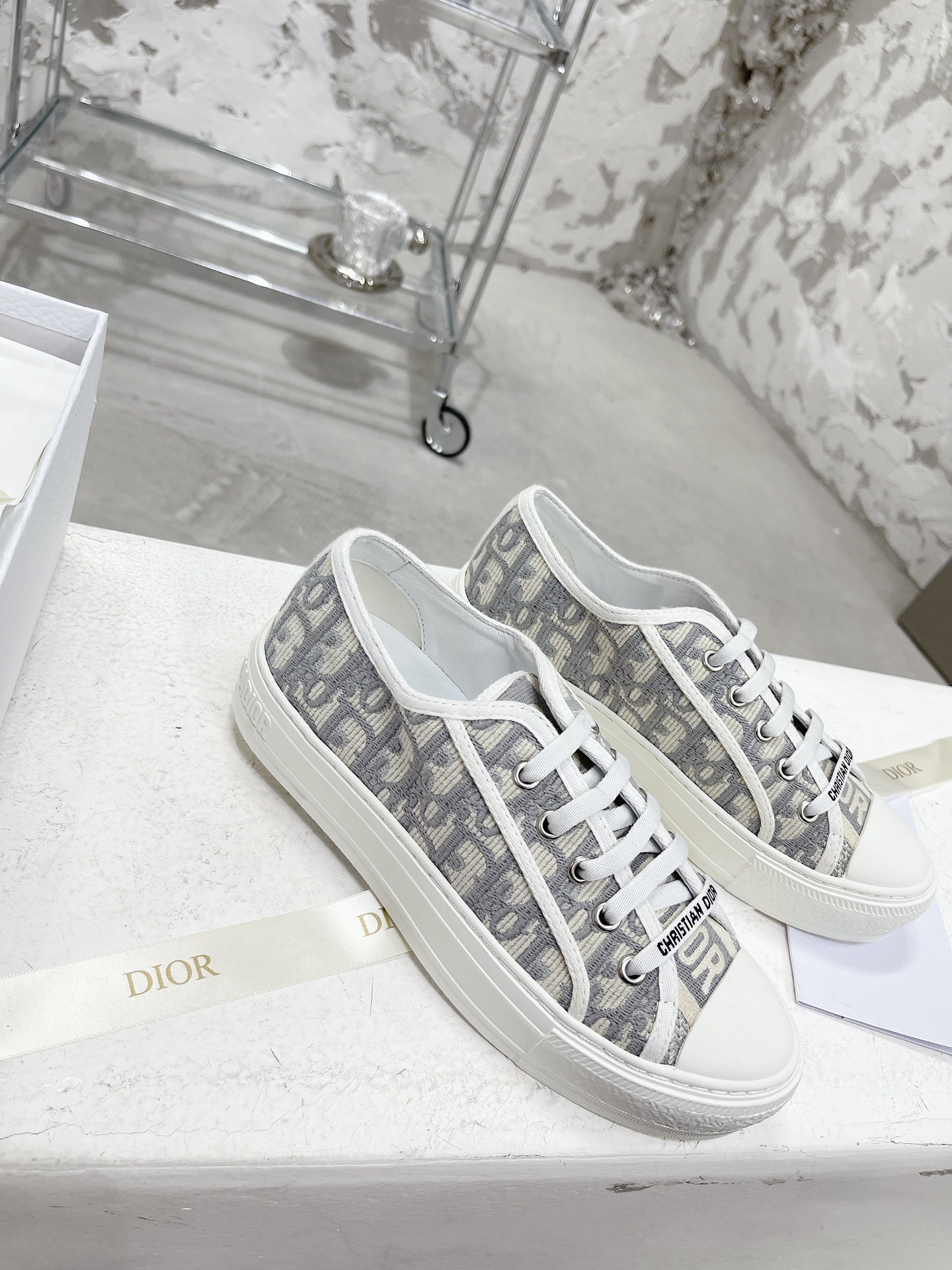 Dior Shoes