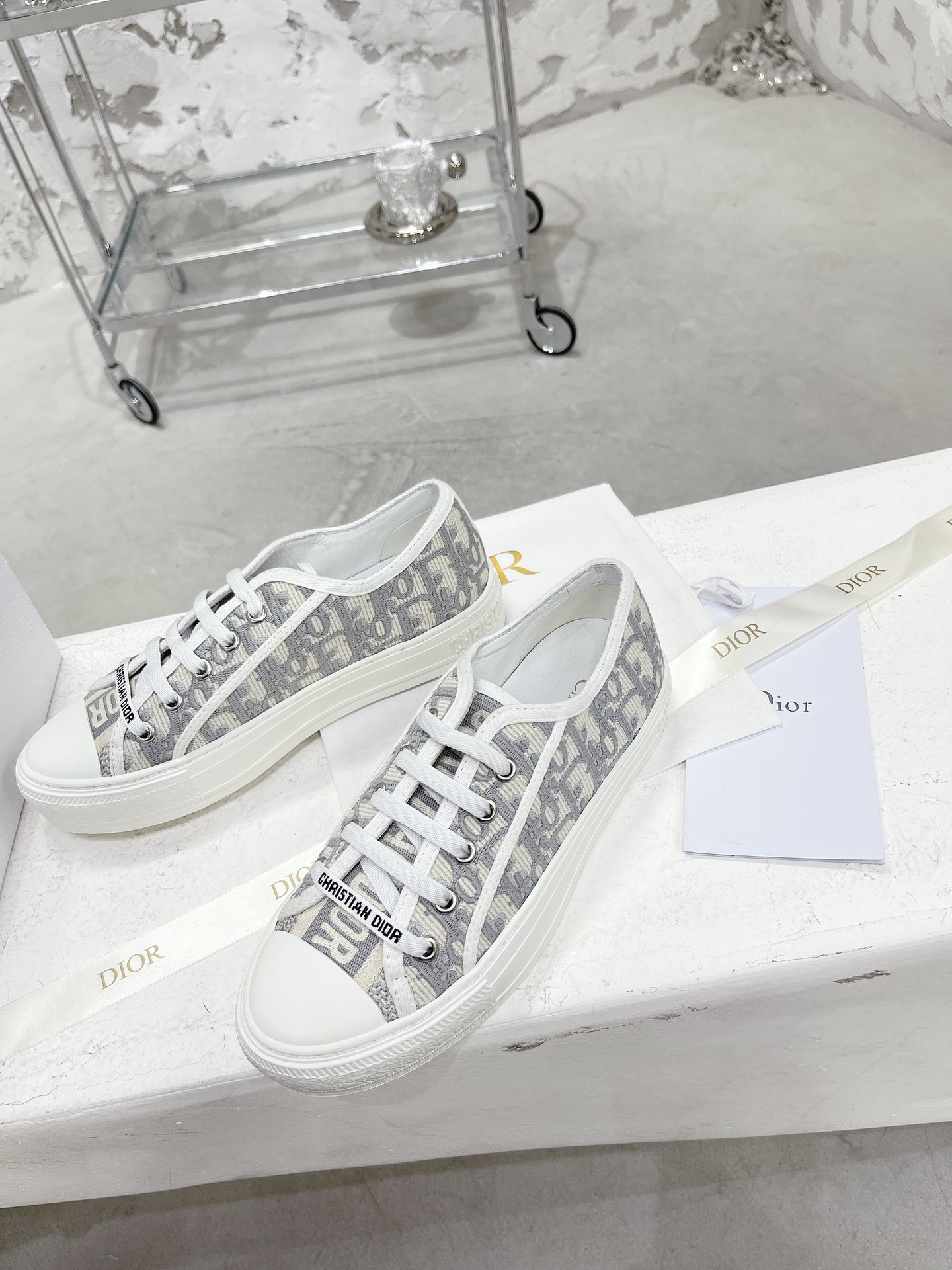 Dior Shoes
