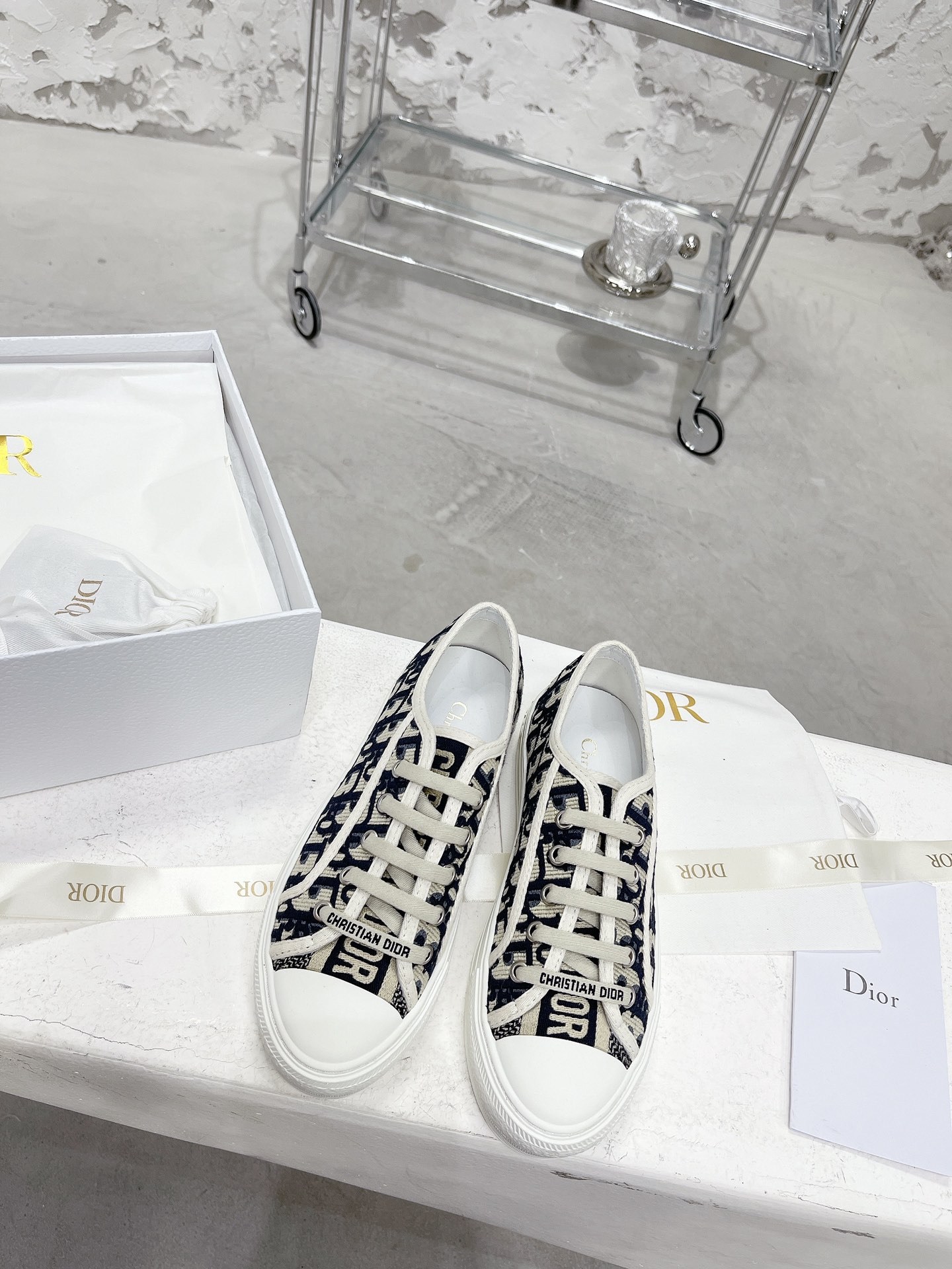 Dior Shoes