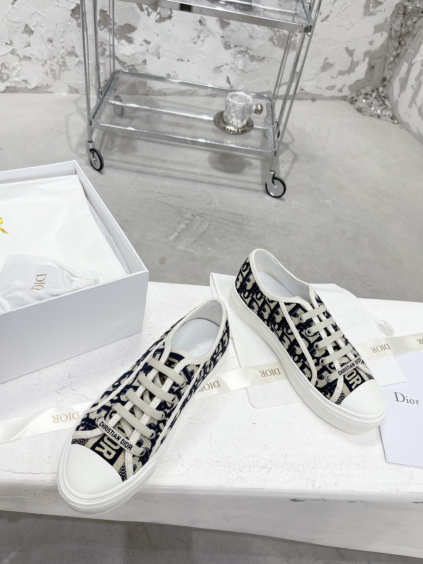 Dior Shoes