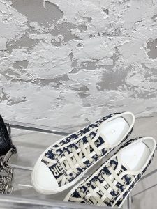 Dior Shoes