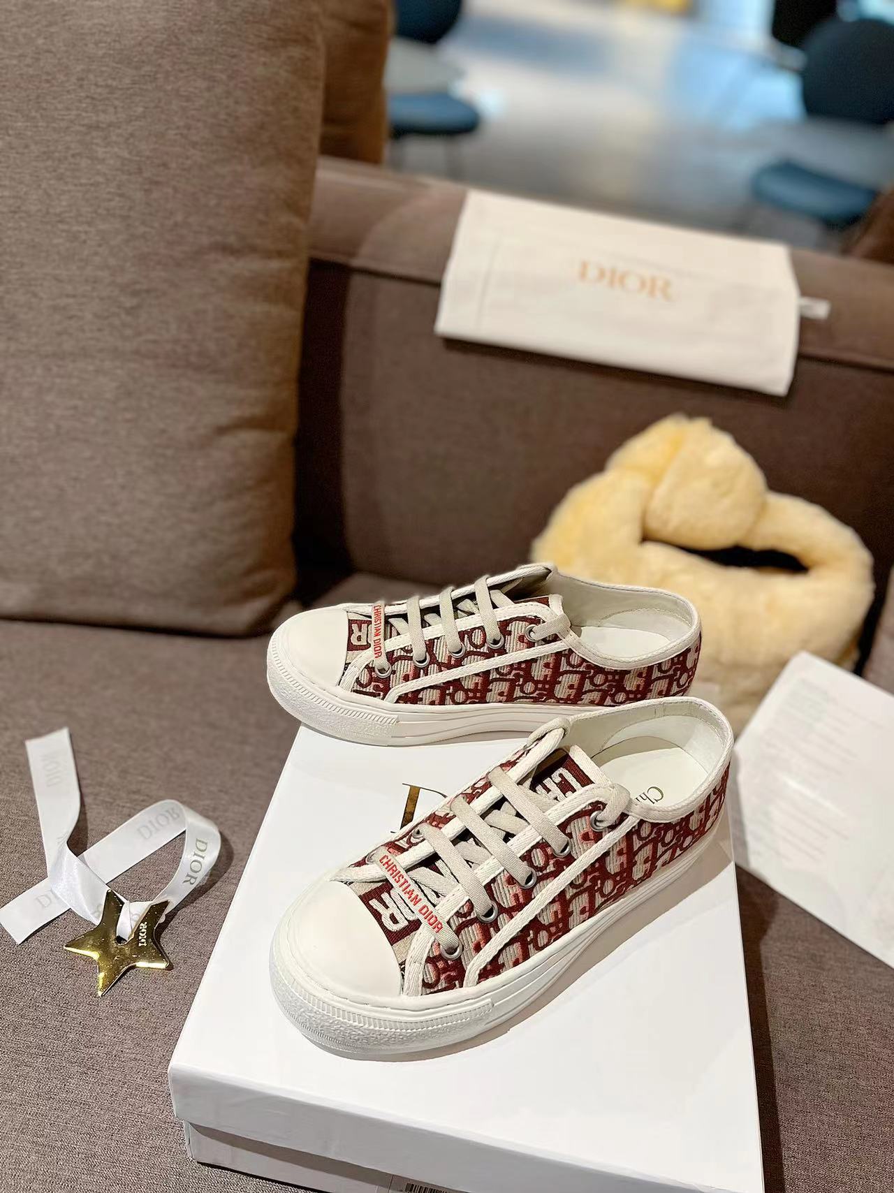 Dior Shoes