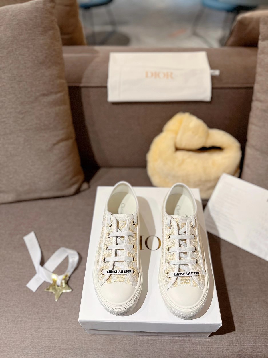 Dior Shoes