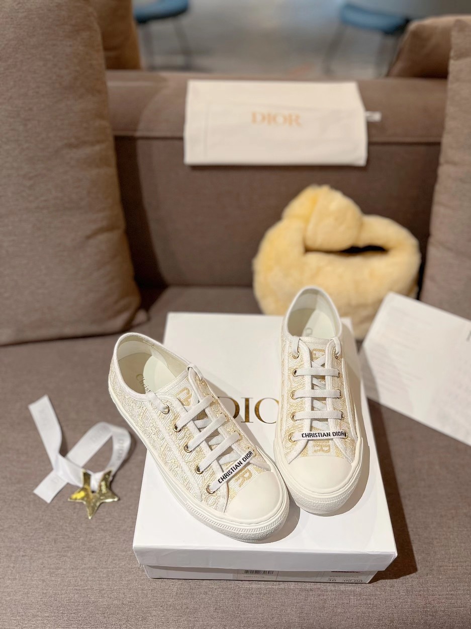 Dior Shoes
