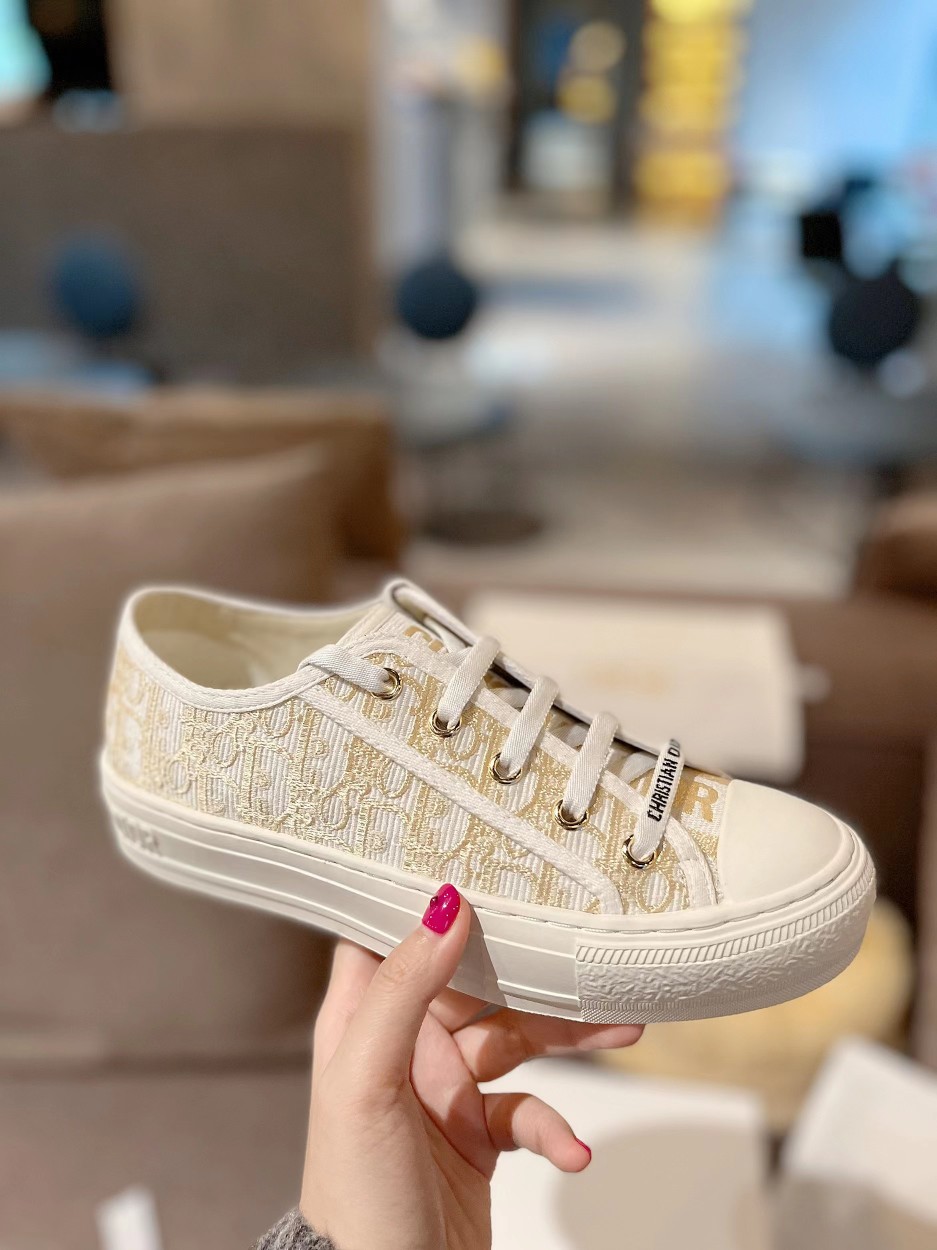 Dior Shoes
