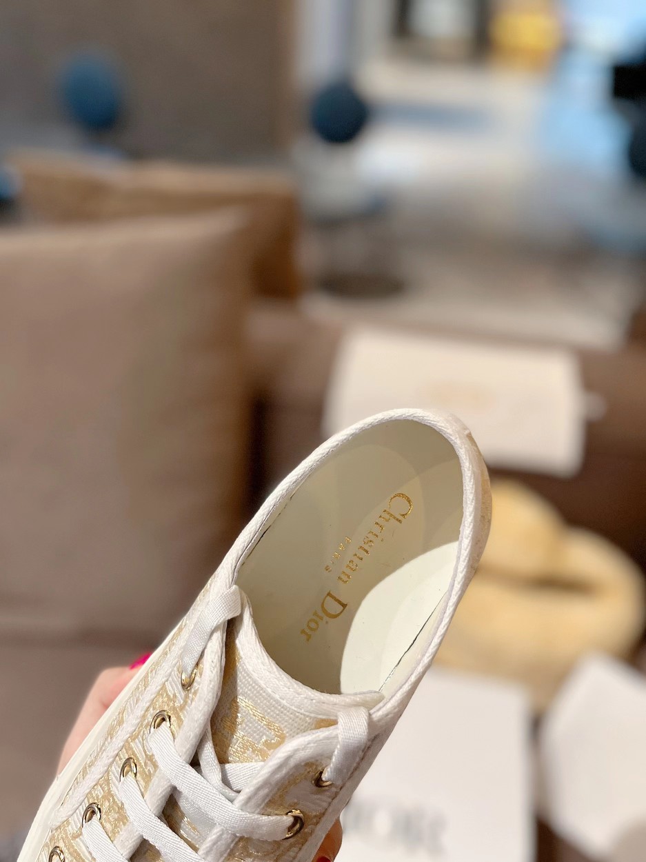Dior Shoes