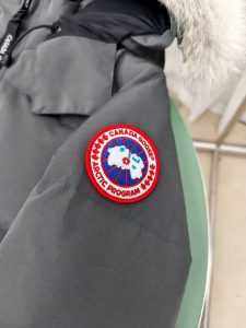 Canada Goose Down Jacket in Black