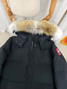 Canada Goose Down Jacket in Black