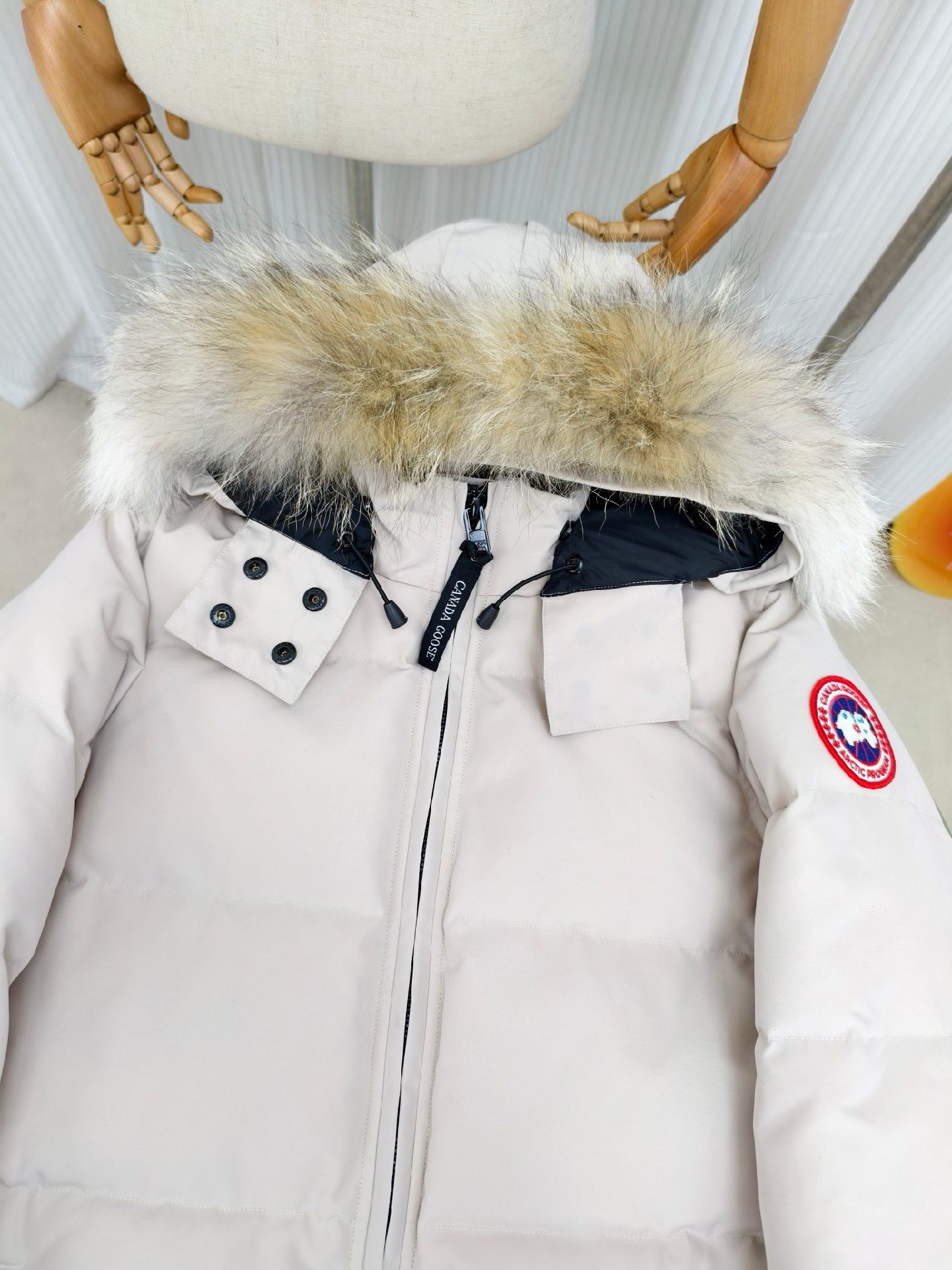 Canada Goose Down Jacket in Black