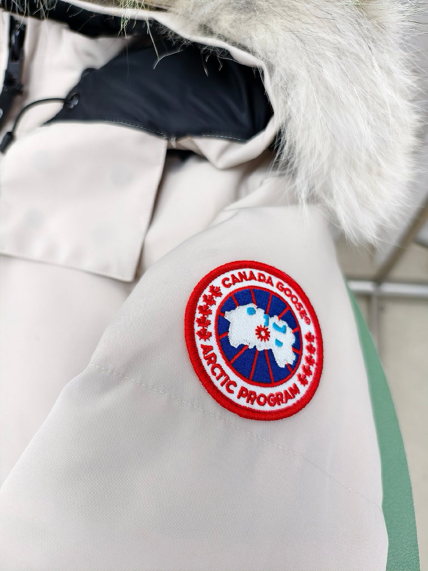 Canada Goose Down Jacket in Black