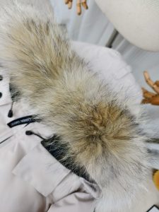 Canada Goose Down Jacket in Black