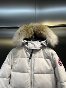 Canada Goose Down Jacket in Black