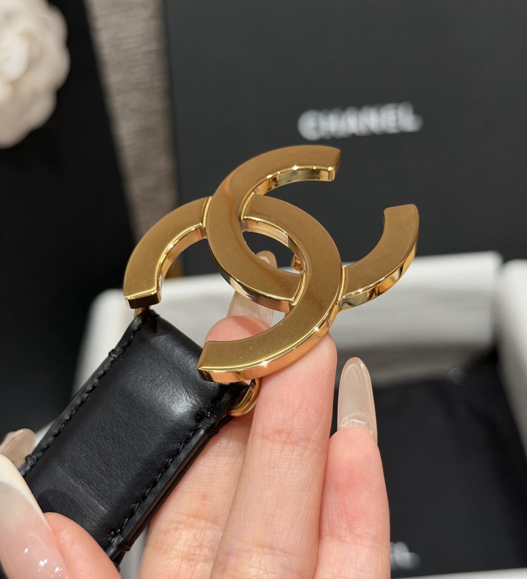 Belt in Beige