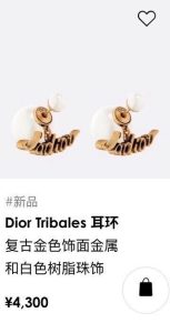 Dior Earrings