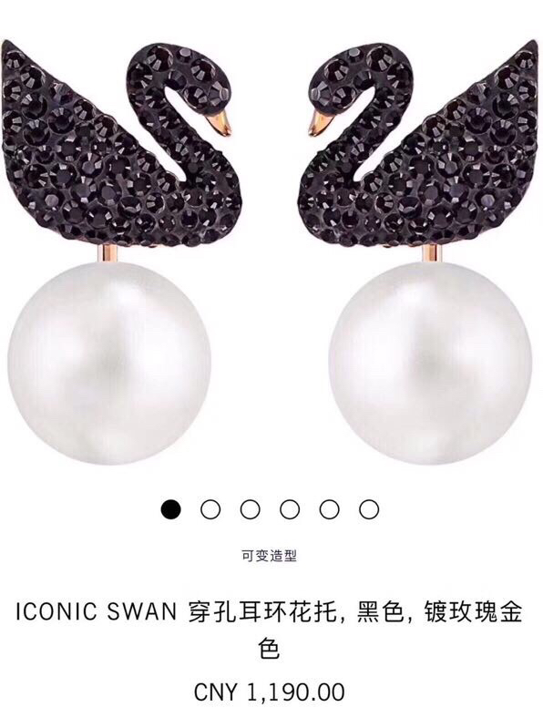 Earrings in Black