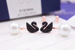 Earrings in Black