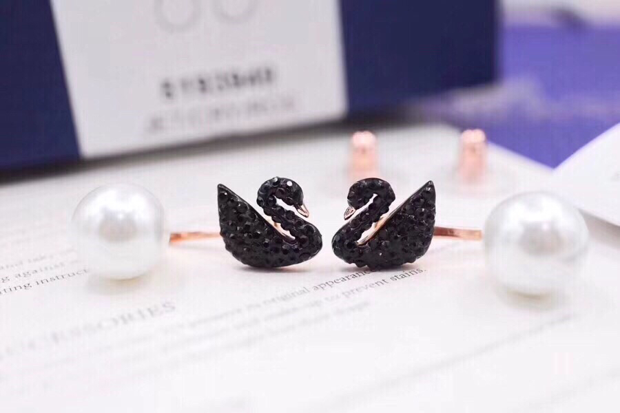Earrings in Black