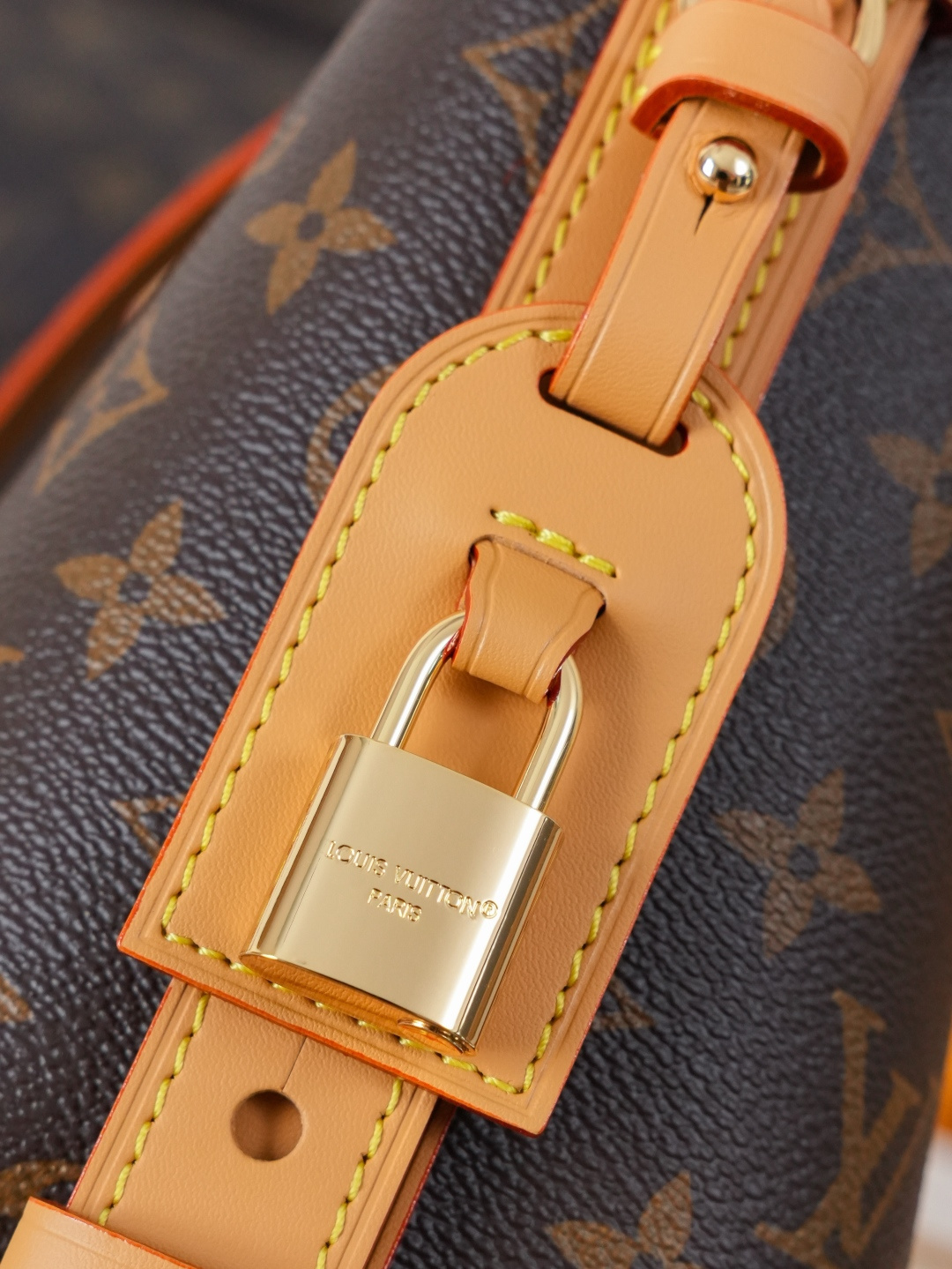 Louis Vuitton Shoulder Bag M29628