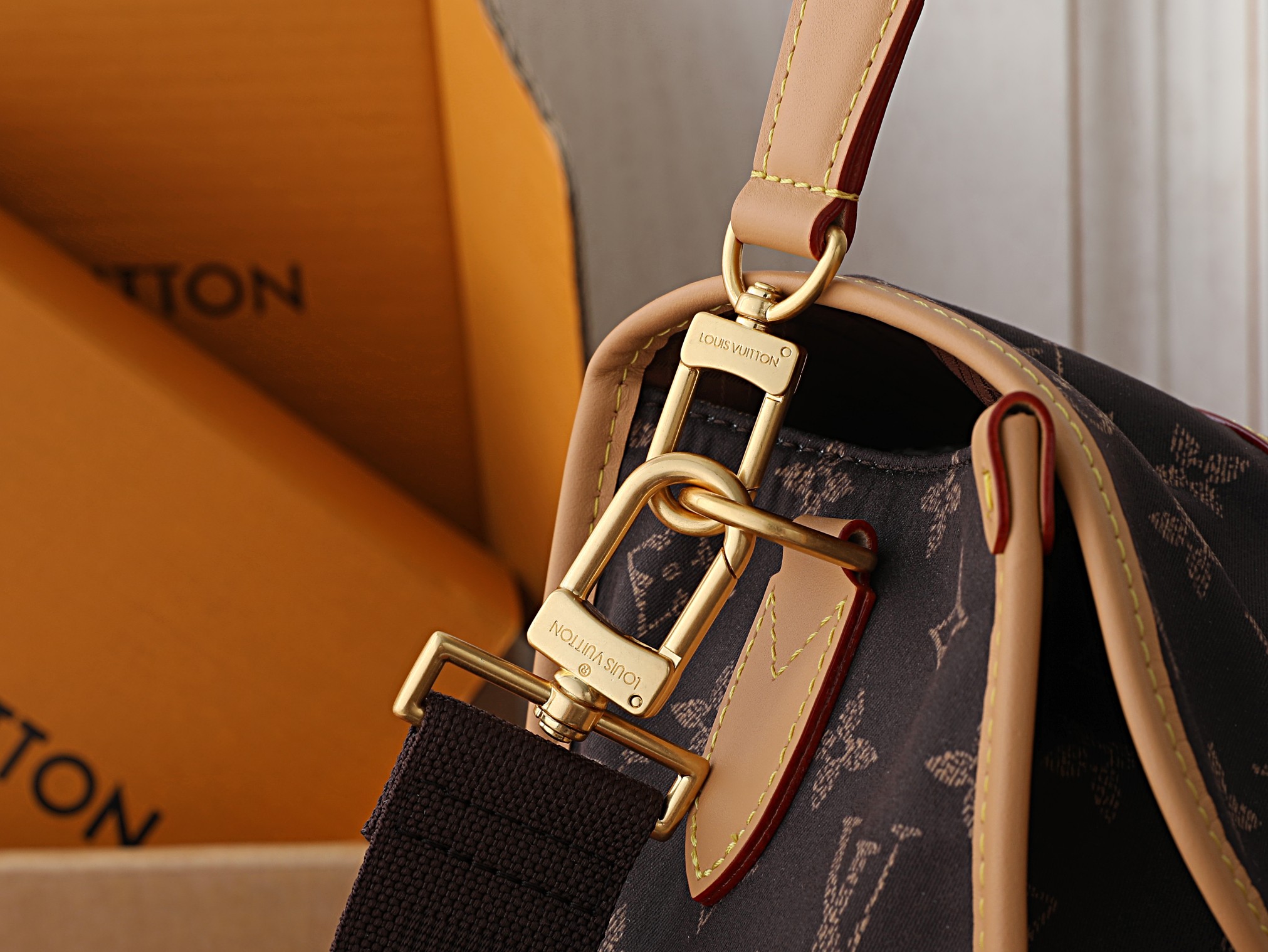 Louis Vuitton Bag