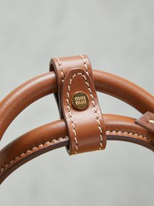 Miu Miu Handbag in Brown
