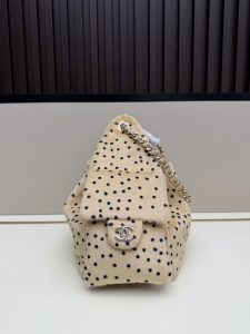 Chanel Handbag 0006