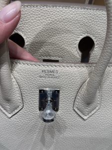 Bag in White