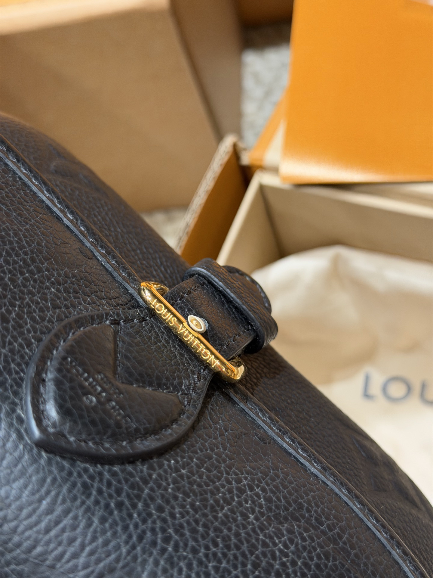 Louis Vuitton Handbag