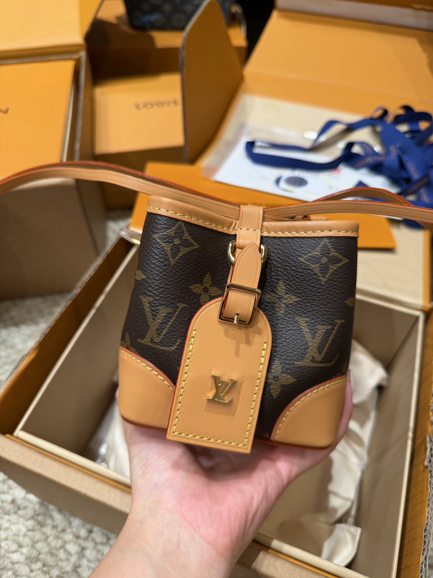 Louis Vuitton Handbag