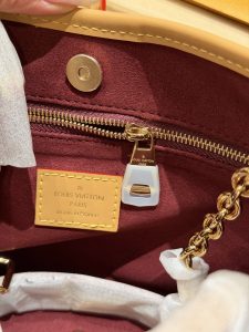 Louis Vuitton Handbag