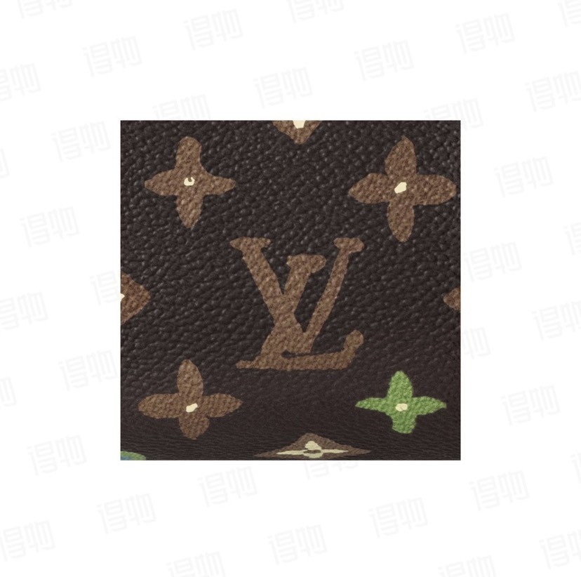 Louis Vuitton Handbag M24849