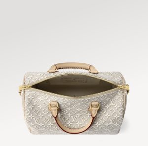 Louis Vuitton Handbag M2847 in Grey
