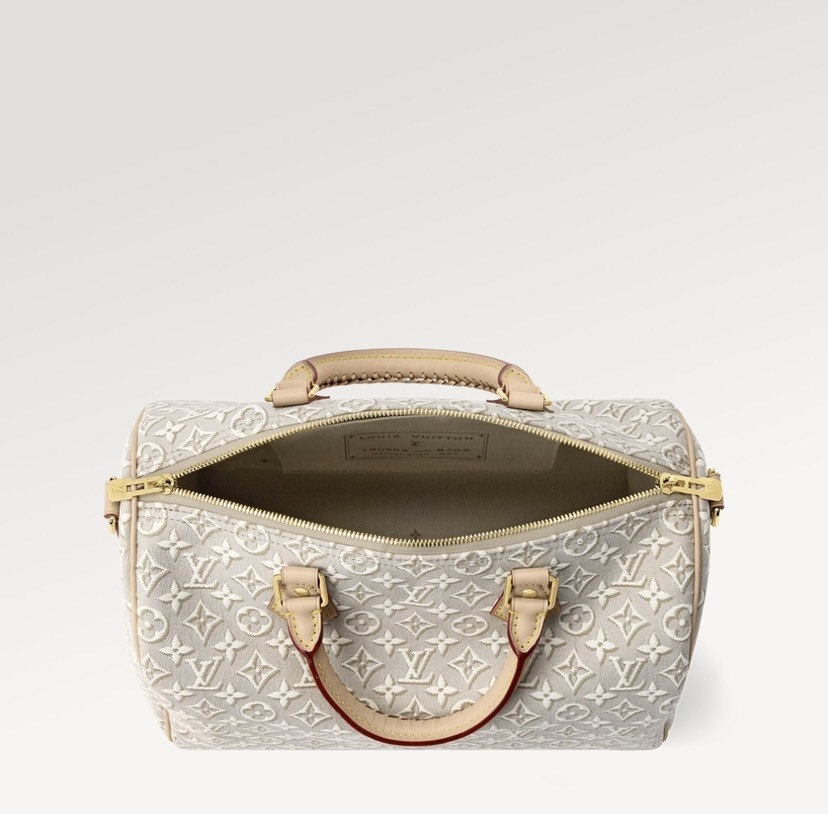 Louis Vuitton Handbag M2847 in Grey