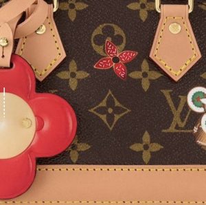 Louis Vuitton Handbag M1219 in Brown