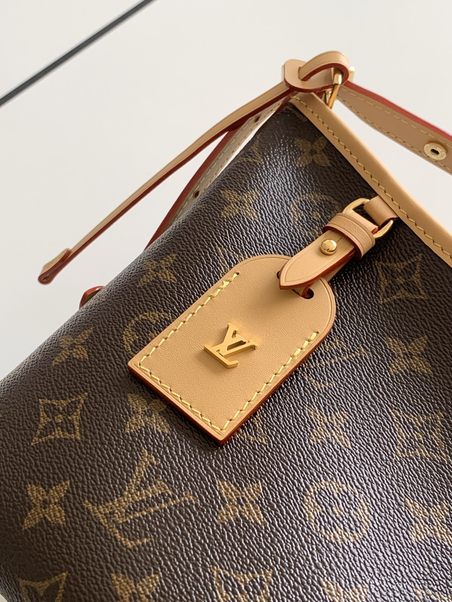 Louis Vuitton Shoulder Bag M28101