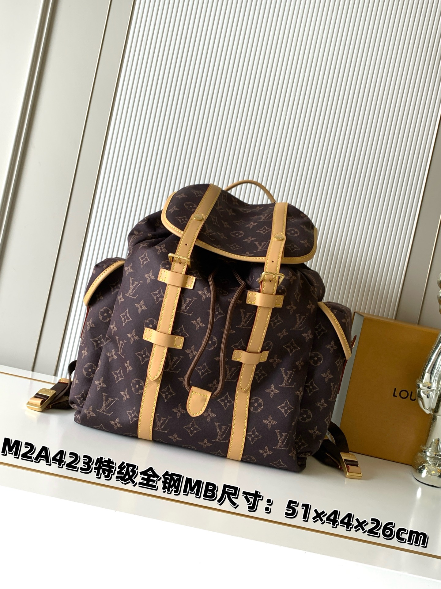 Louis Vuitton Backpack