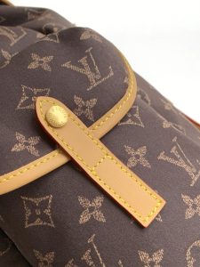 Louis Vuitton Backpack