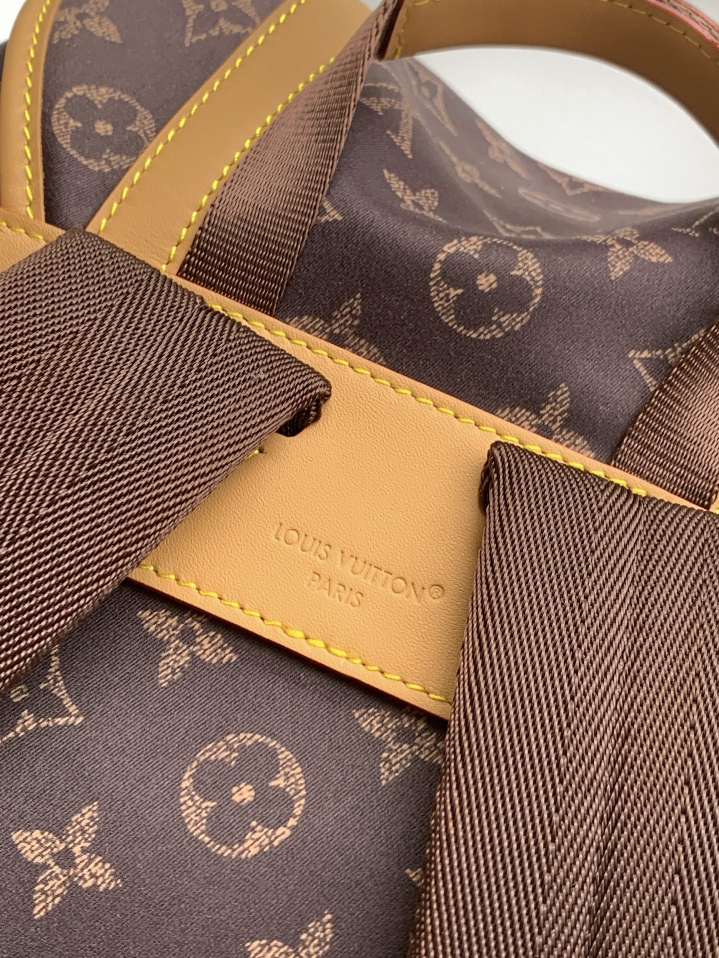 Louis Vuitton Backpack