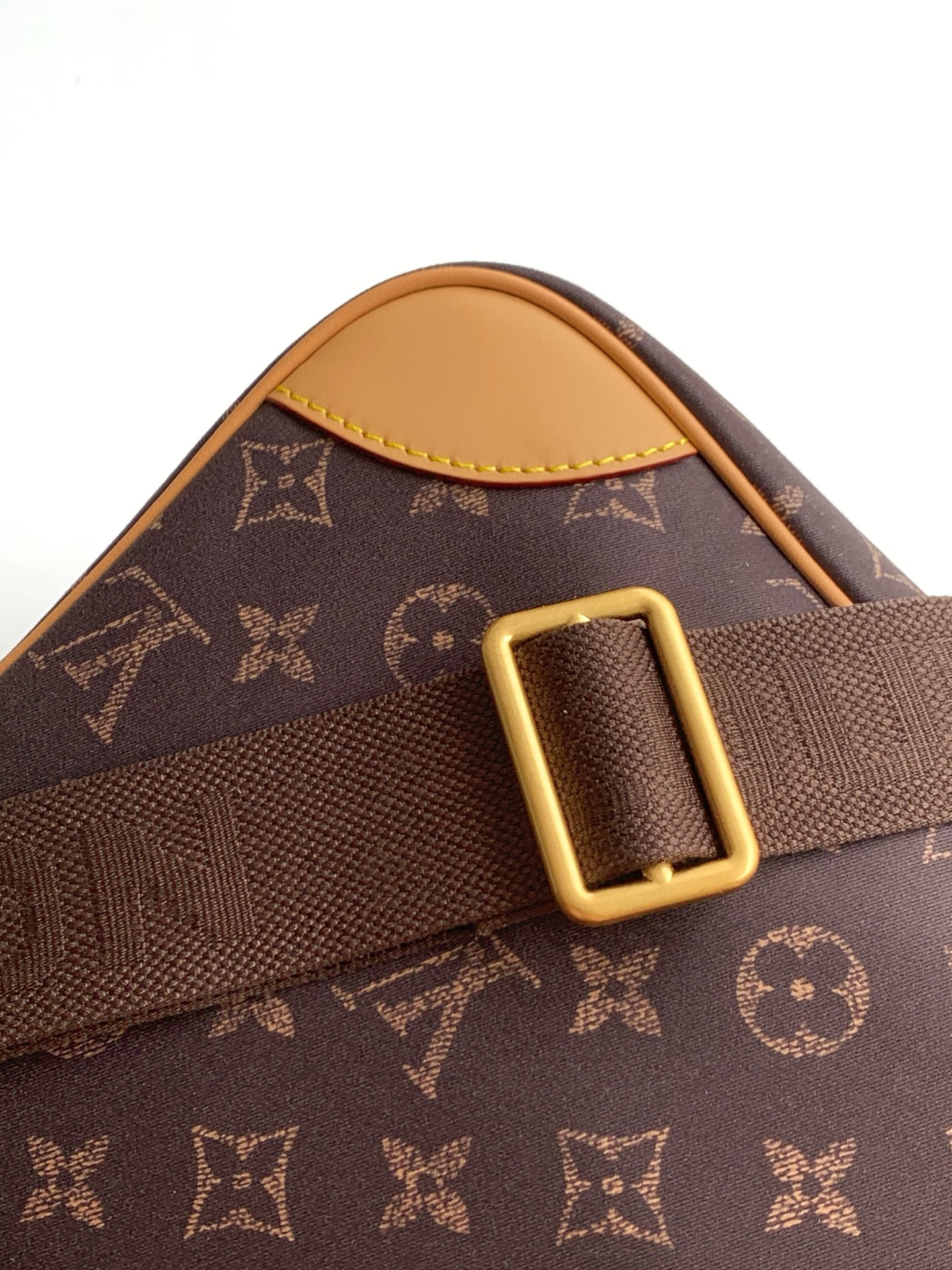 Louis Vuitton Handbag M29853