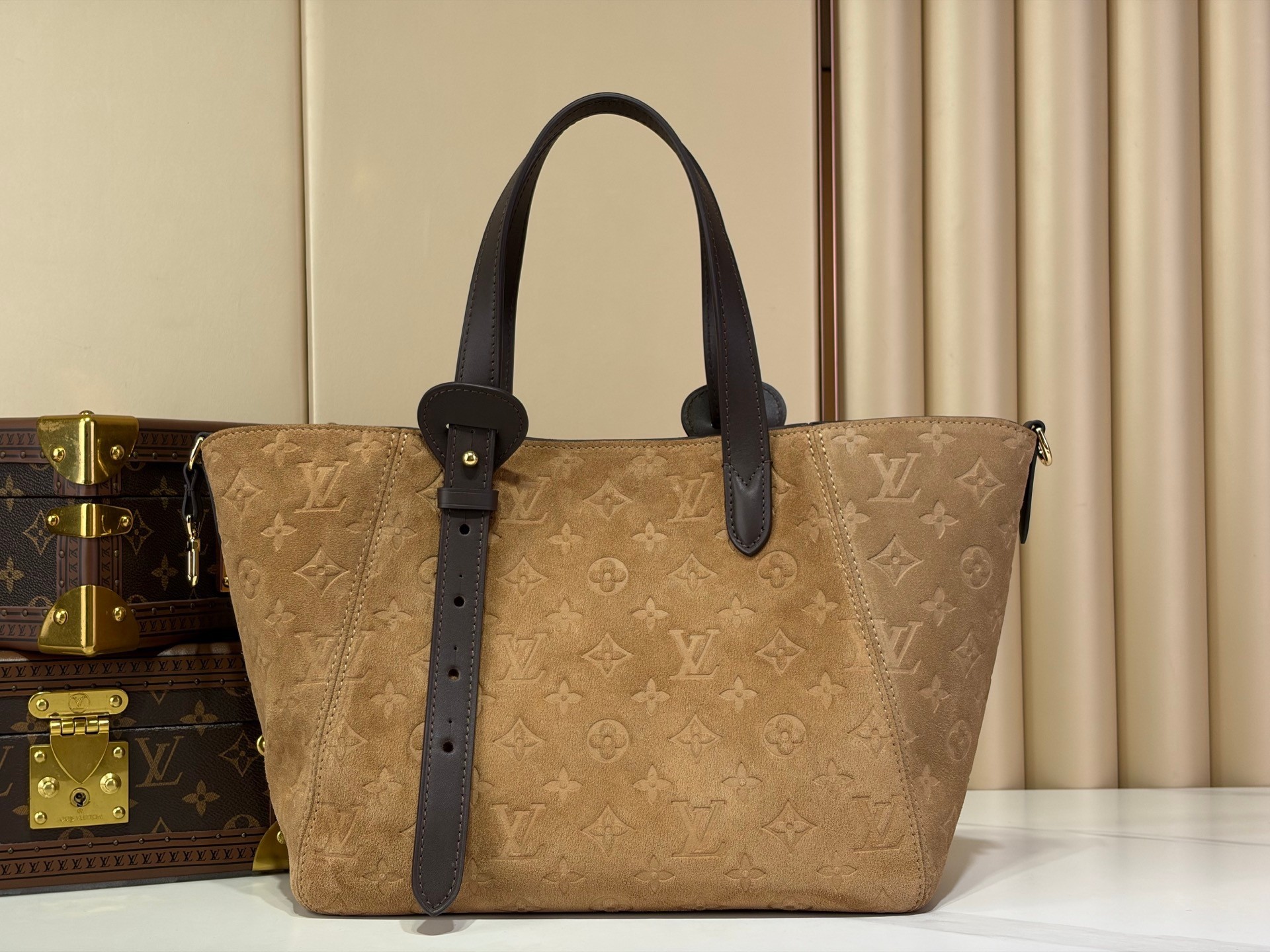 Louis Vuitton Handbag M29836