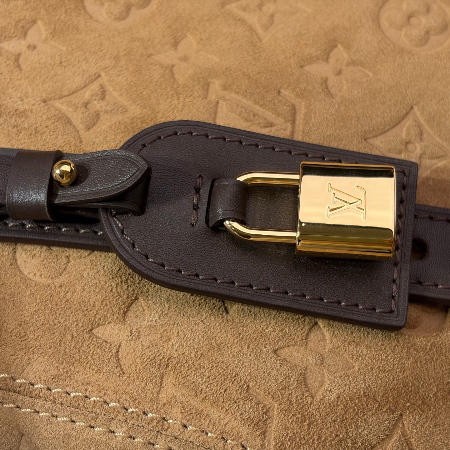 Louis Vuitton Handbag M29836