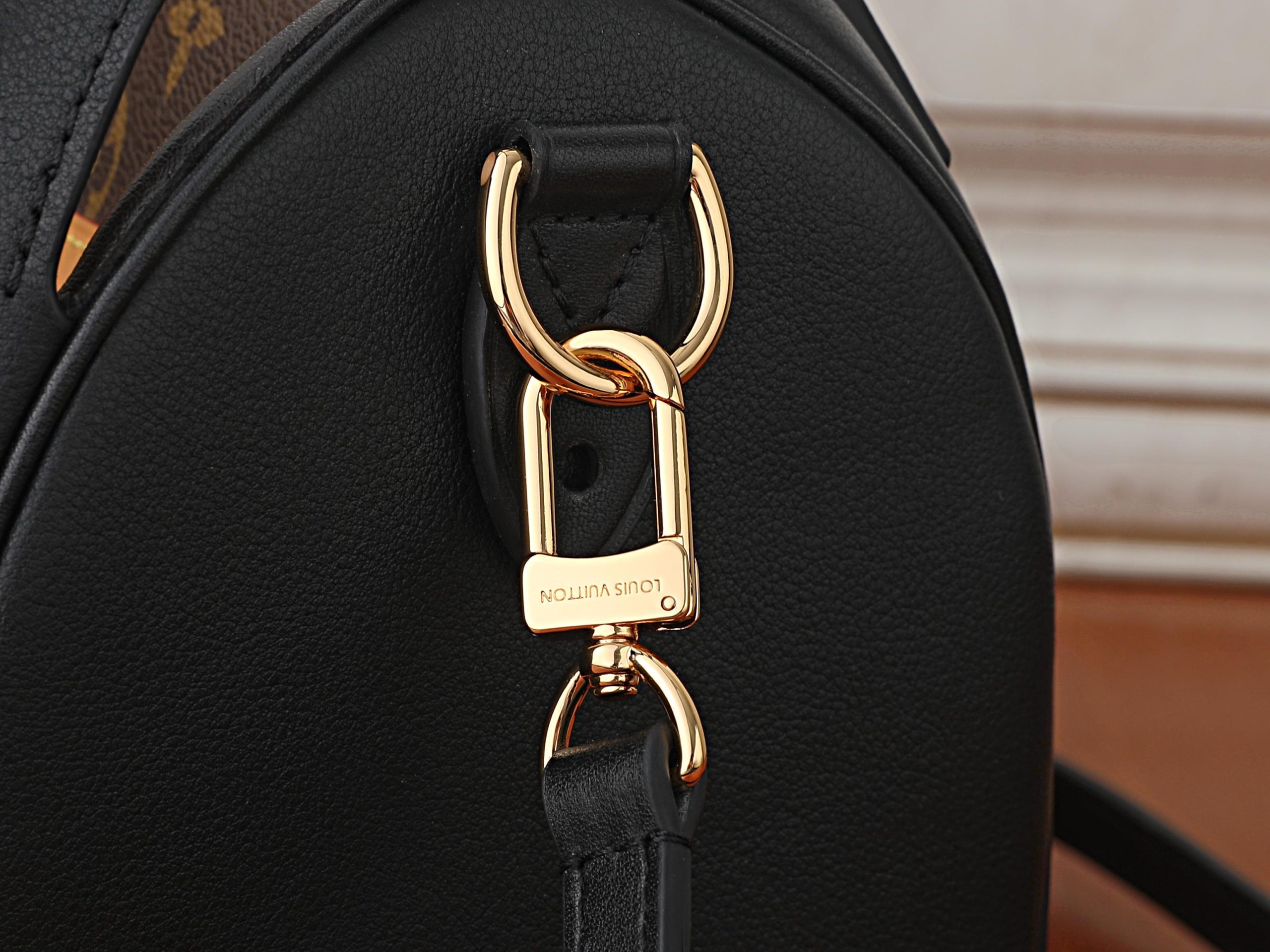 Louis Vuitton Handbag