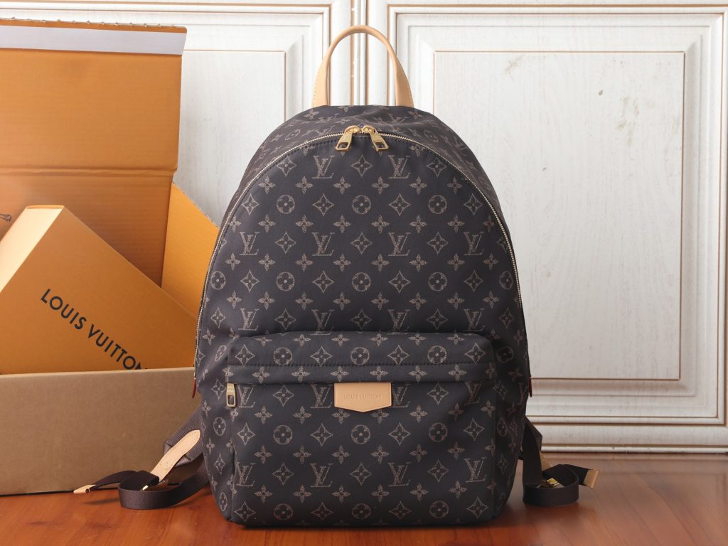 Louis Vuitton Backpack