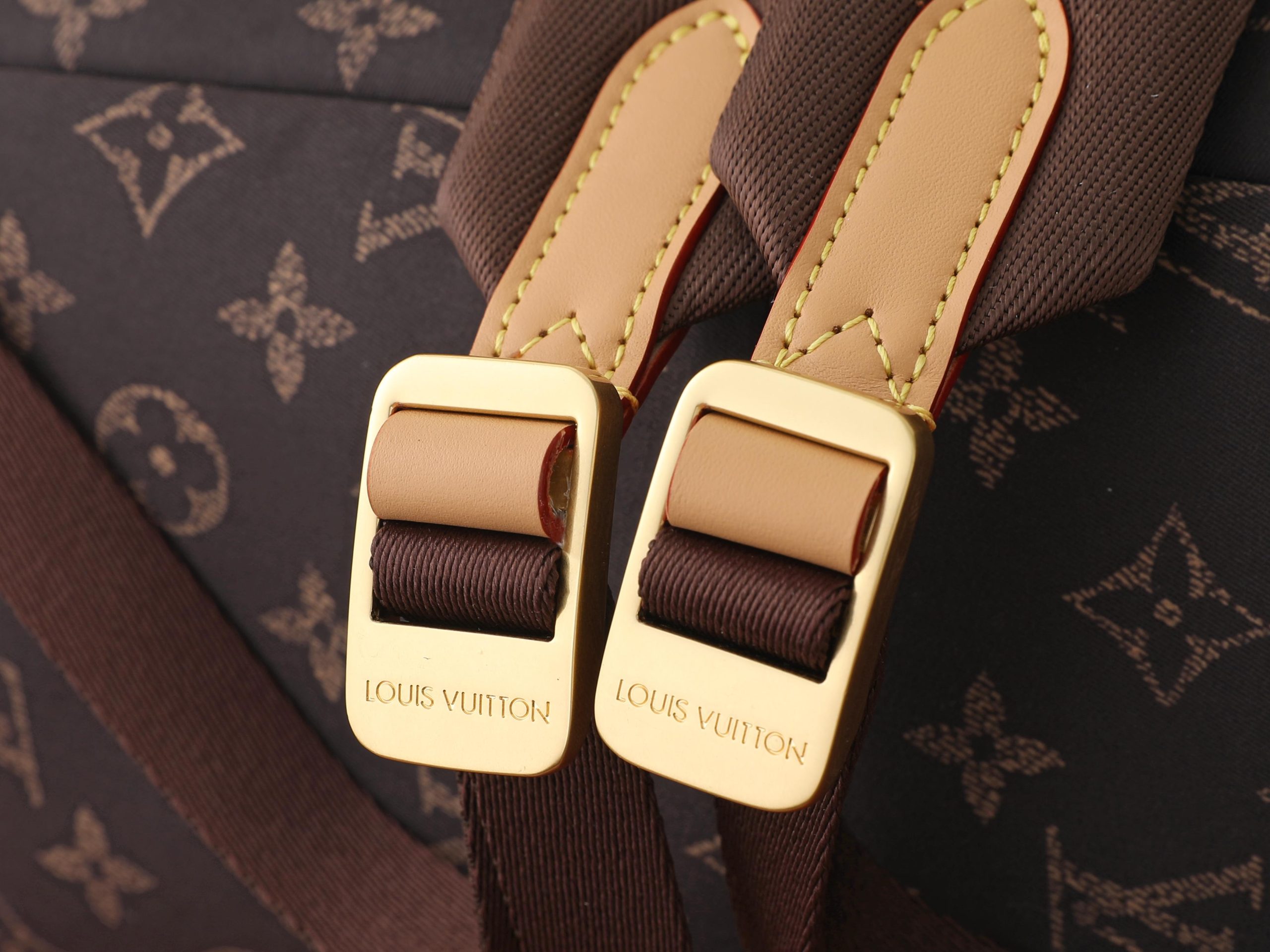 Louis Vuitton Backpack