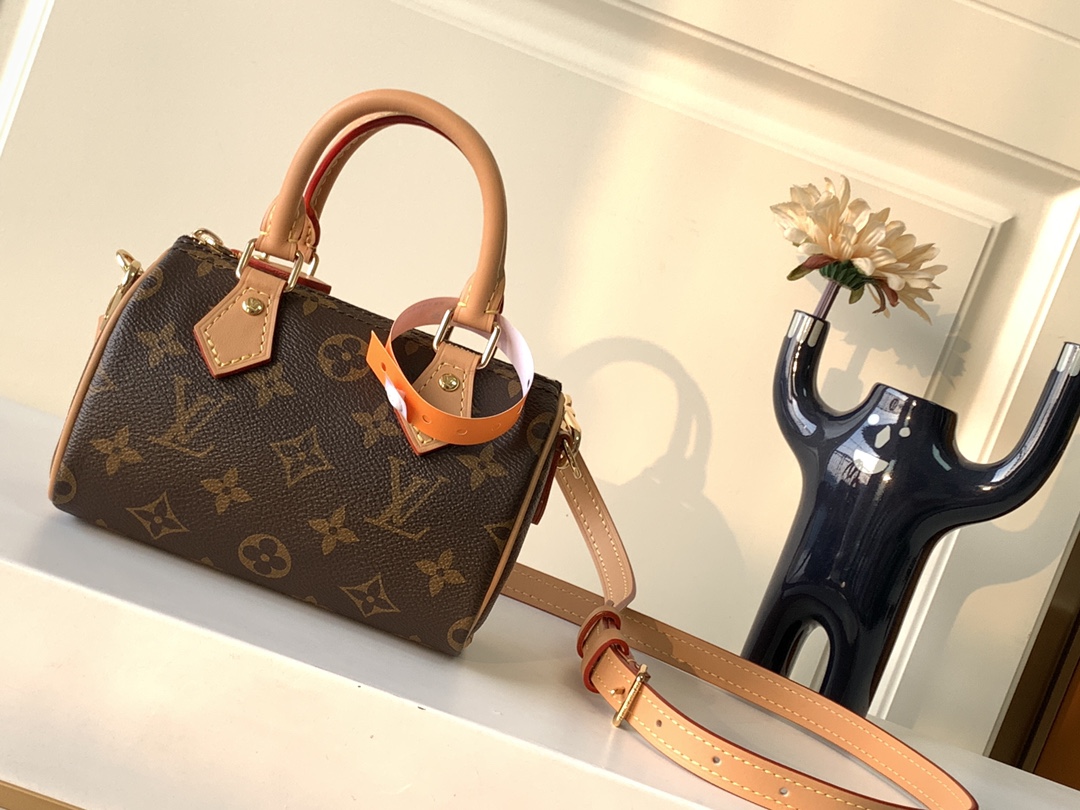 Louis Vuitton Bag M81085