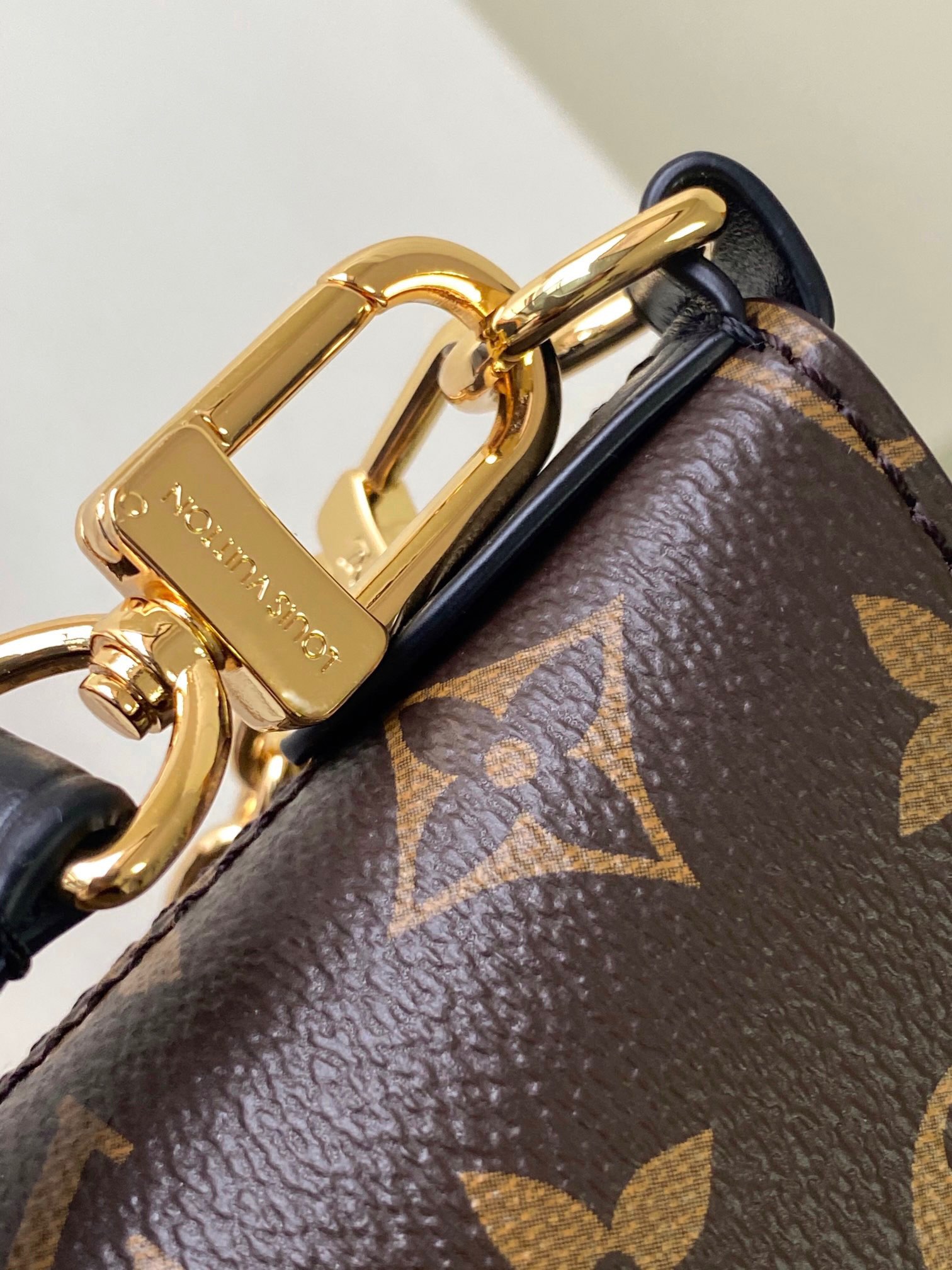 Louis Vuitton Bag M45831